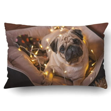 16x16 Multicolor Funny Pug Dog Owner Girl Funny Pug Dog Unicorn Pet Owner Puppy Breeding Throw Pillow 16x16 Multicolor Funny Pug Dog Owner Girl Funny Pug Dog Unicorn Pet Owner Puppy Breeding Throw Pillow